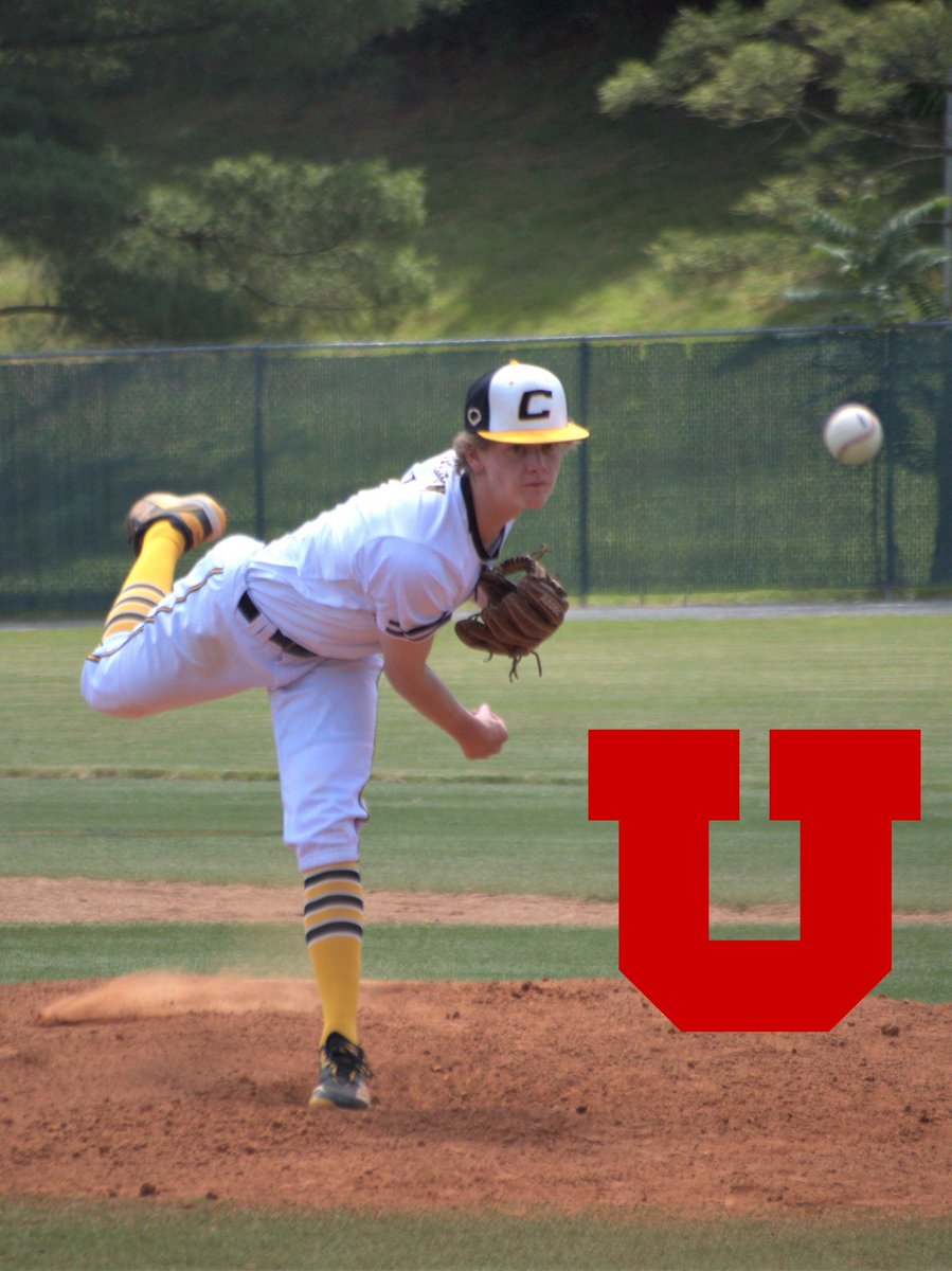 Cameron Nielson tweet media