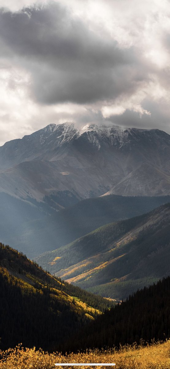 wrgoodie's tweet photo. I like this photo #colorado #aspen #photography #Canon #CanonR5 #mountains 
📍Independence Pass https://t.co/yFsvrQxzzf