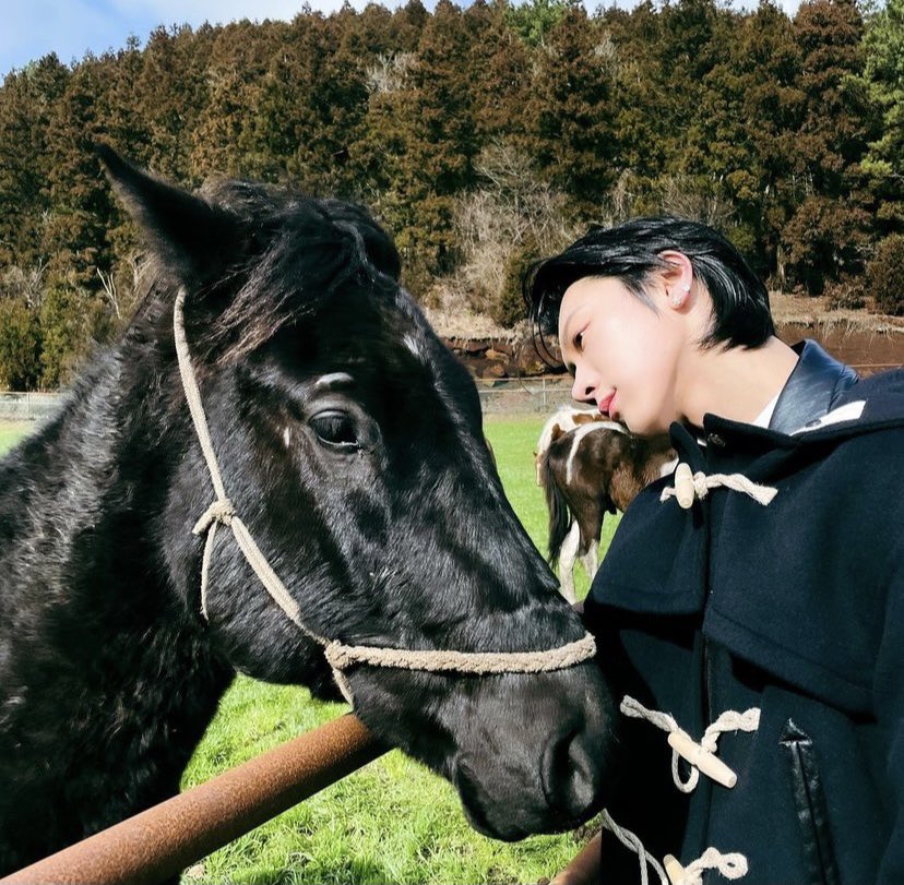 LTen96's tweet image. HAPPY 추석
#tenlee_1001 #บอทNCT #NCT_event