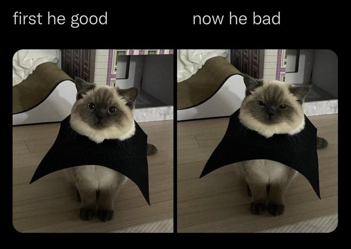 imgur's tweet photo. Gasp! https://t.co/SPVimhrwNH