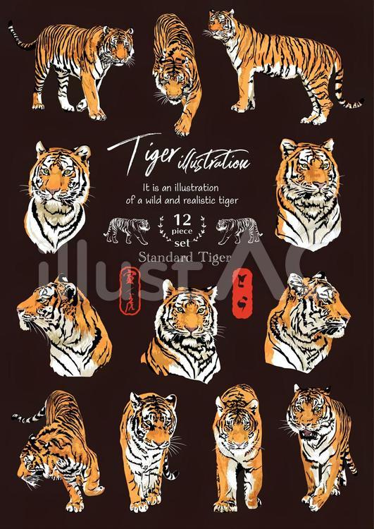 Twitter 上的 Zumiki イラストac マイページの新着が虎イラストで無事埋まってきました 年賀状以外にも使えて良いお仕事してくれる子達だと思います 一頭いかがでしょうか T Co Iauk9spzrp Aiデータは単品イラストからのみdlできます 虎 寅年