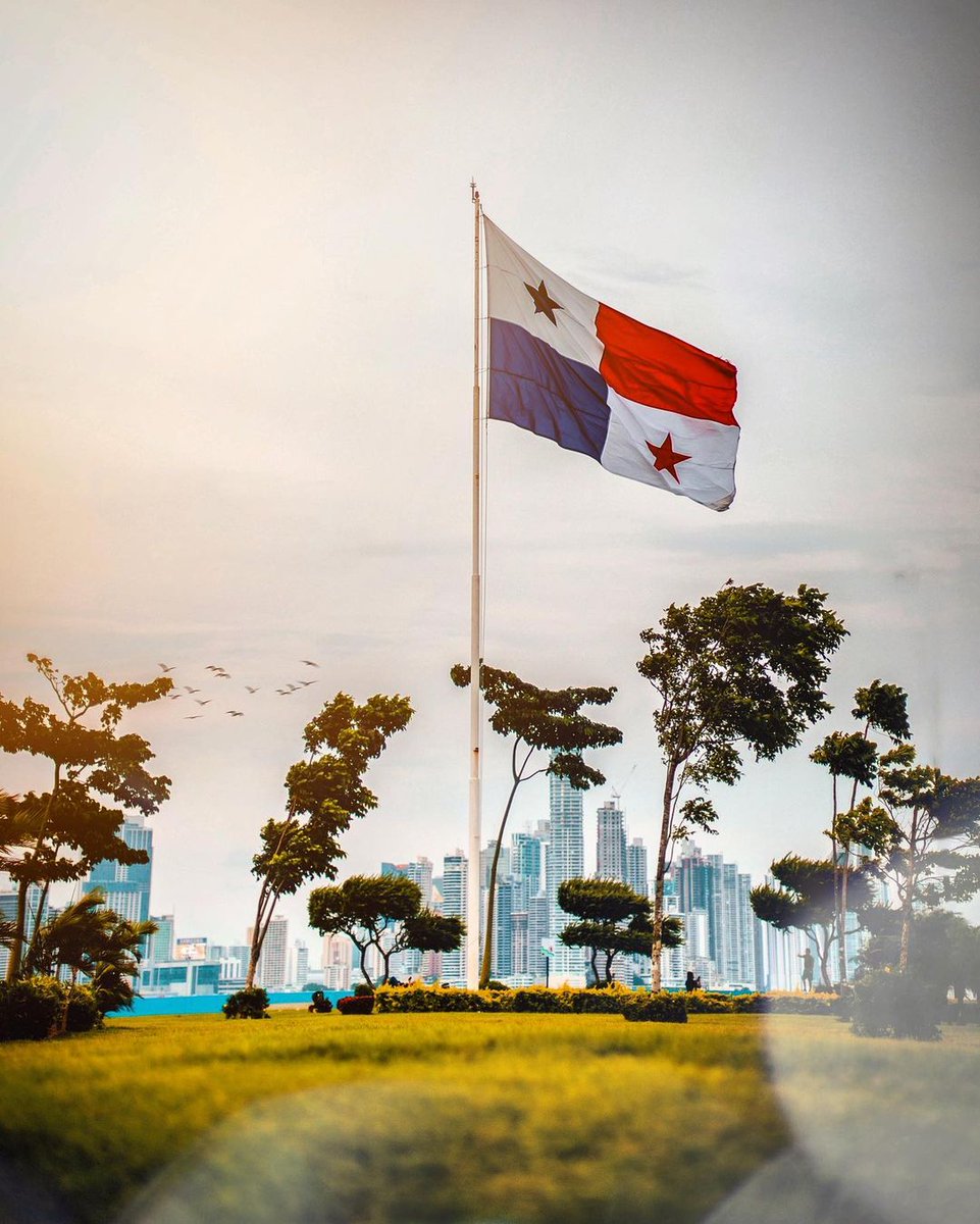 TVN Noticias tweet media