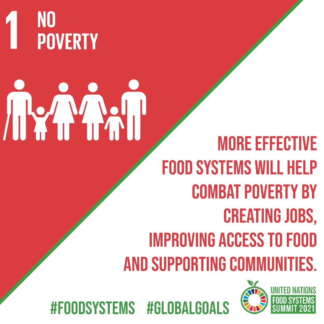 @REACHinUganda uses a #marketsystems approach to improve #foodsystems through ⬆️ market engagement, ⬆️ household resilience, and strengthened agricultural support systems for over 40,000 individuals. 

Learn how REACH is working for #SDG1: ifdc.org/2021/09/16/par…
