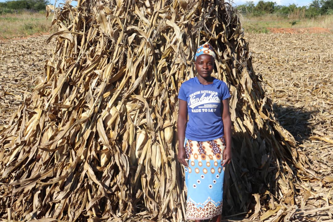 Contribution of agriculture towards nutrition and health.