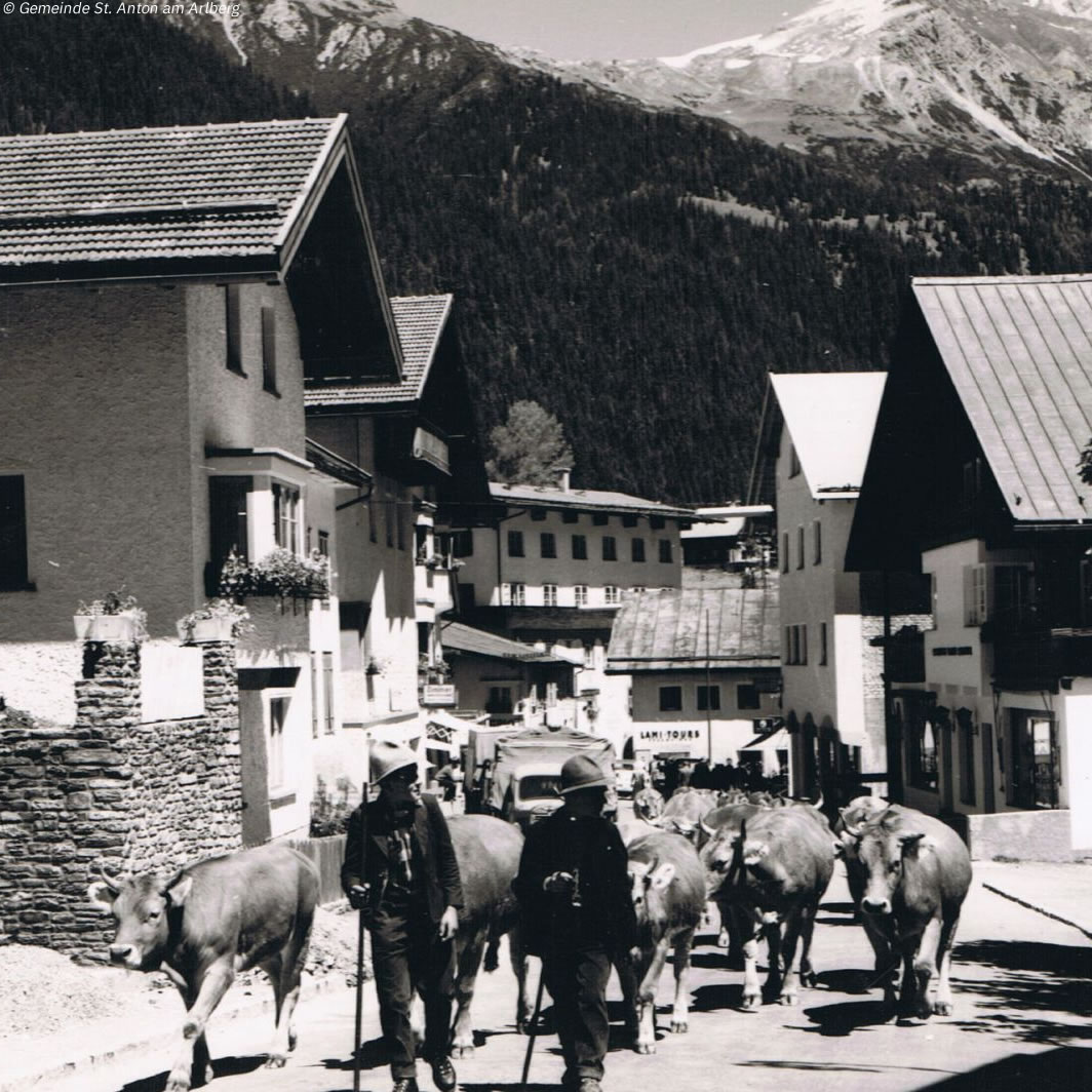 StantonReview's tweet photo. Der Almabtrieb pflegt in der Urlaubsregion #stantonamarlberg eine ewige Tradition, so bestimmen an ausgewählten Tagen im Spätsommer schon seit Jahrhunderten die gleichen Sitten die Szenerie. 

👉 https://t.co/oXinSjUVH4

#arlberg #inTirol #austria #almabtrieb #alpinetradition https://t.co/7LI1VJYprl