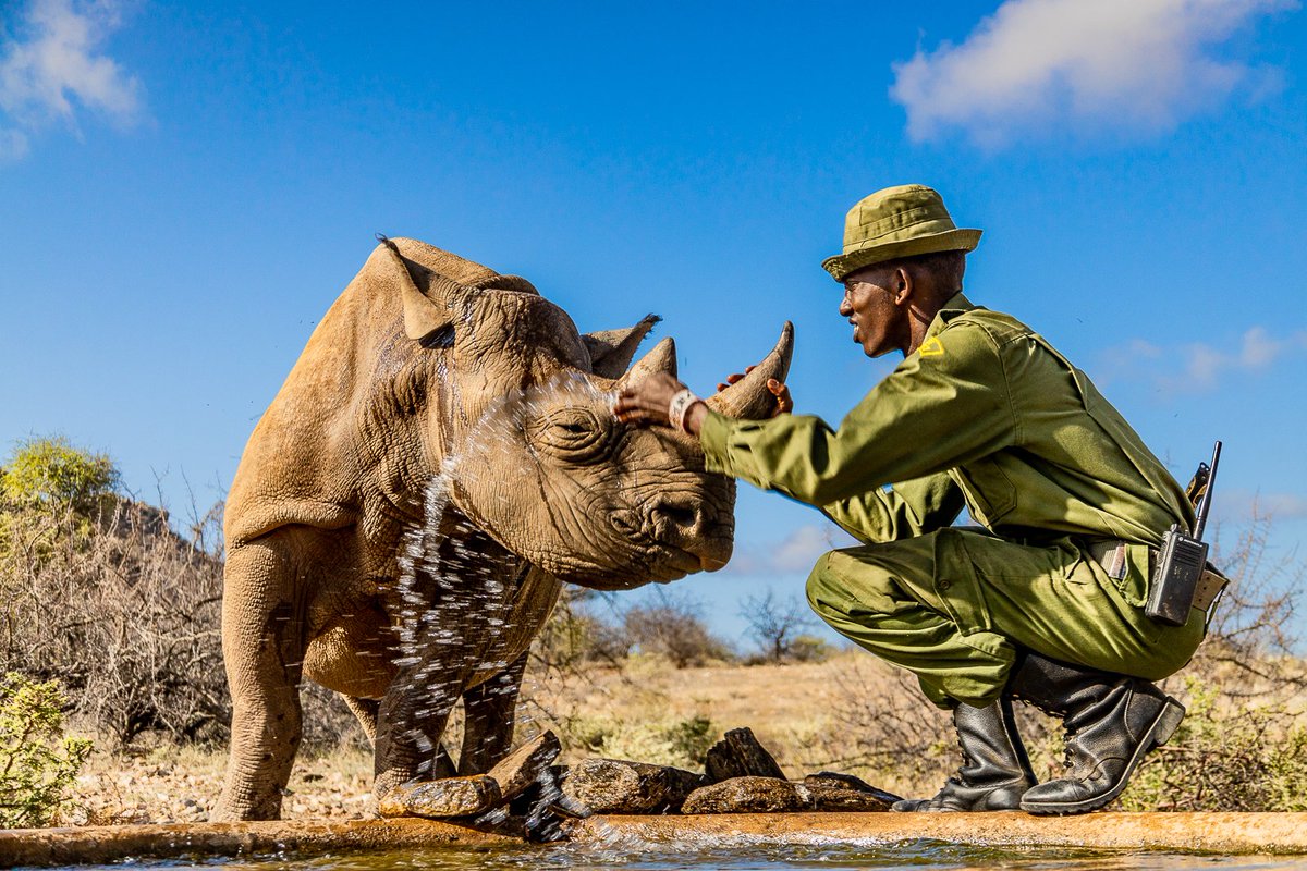 TonyWildKe's tweet photo. In honor of #WorldRhinoDay on Sept. 22, I am sharing some of my favorite images from my recent assignment with #rangers . Who work tirelessly to keep this species safe. You can support them through the link on my bio. @The_GRAA @tusk_org #ForRangers @NRT_Kenya @magicalkenya https://t.co/cf5z5A4VRg