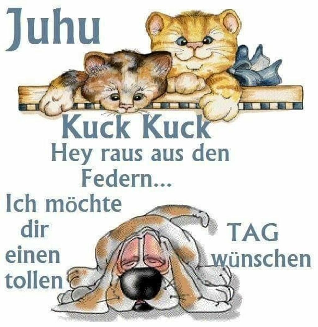 Guten Morgen Ihr Lieben ich wünsche Euch allen einen schönen Mittwoch, image size:1024x1054