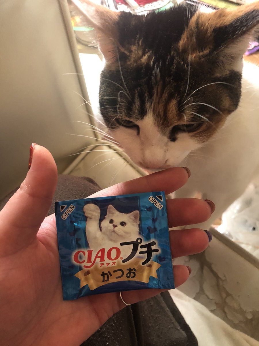 掲示板の悪口 hashtag on Twitter 掲示板の悪口 hashtag on Twitter