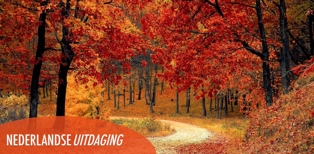 Leaves are falling, autumn is calling! 🍁 🍂 🍄 🌰 

#nederlandseuitdaging #deuitdaging #mbo #mvo #samenmakenwehetverschil #lokaleuitdagingen