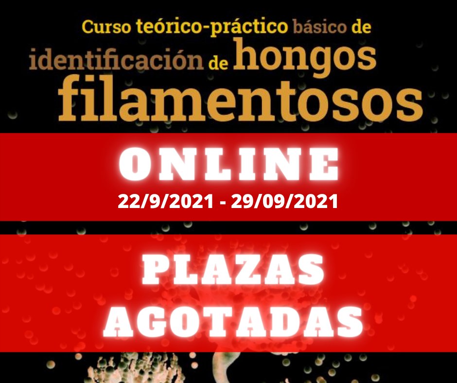 👉Informaros que el curso online de identificación de hongos filamentosos está completo, muchas gracias.