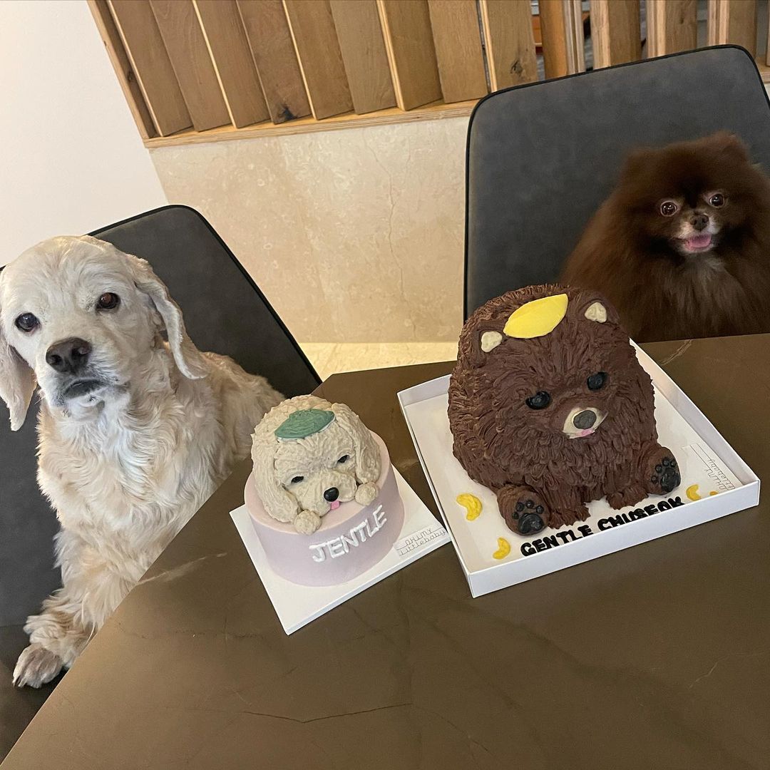 JnginB's tweet photo. ⁀➷ 
Vía Instagram:

❛
    Ayer mientras nos preparábamos para Chuseok a @JxnnieKimB le llegaron estos pasteles de los bebés de la casa. https://t.co/ja7641Cx27
