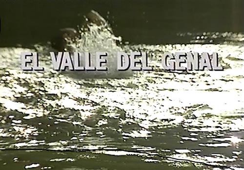 VÍDEO. Se halla un vídeo de hace 28 años sobre el recién quemado Valle del río Genal en la recién quemada ‘Librería Proteo’. Lo realizó la editora de EL OBSERVADOR para conmemorar el 25 aniversario de la librería de Paco Puche, que participó en el rodaje
revistaelobservador.com/opinion/21-f-r…