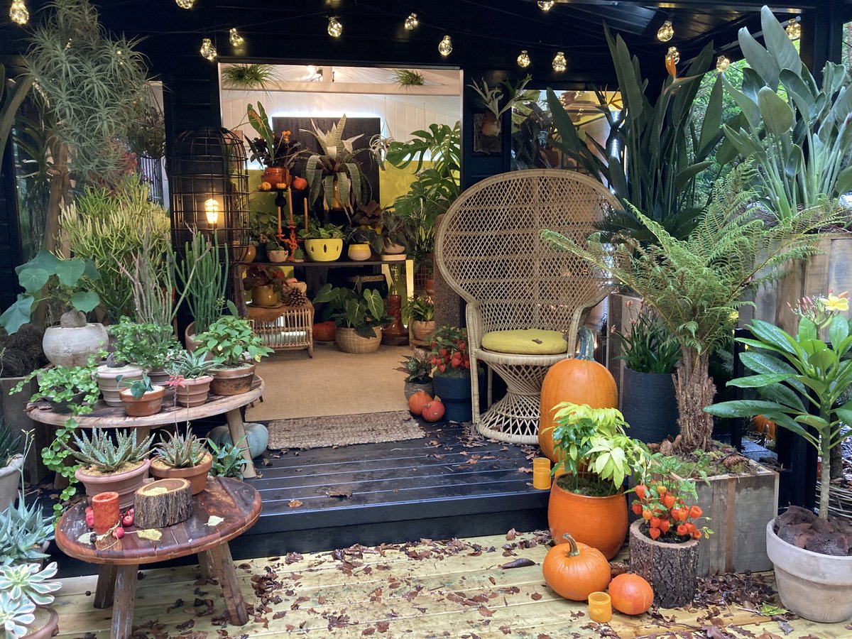 wazzo_m's tweet photo. The Houseplant Studios category has been an exciting new introduction by ⁦@The_RHS⁩ at #ChelseaFlowerShow2021 reflecting importance of indoor plants. Some really creative designs ⁦@N1gardencentre⁩ ⁦@EdibleBusStop⁩ ⁦@MalvernBuilding⁩ @Forest_london https://t.co/EscvrH1b6K