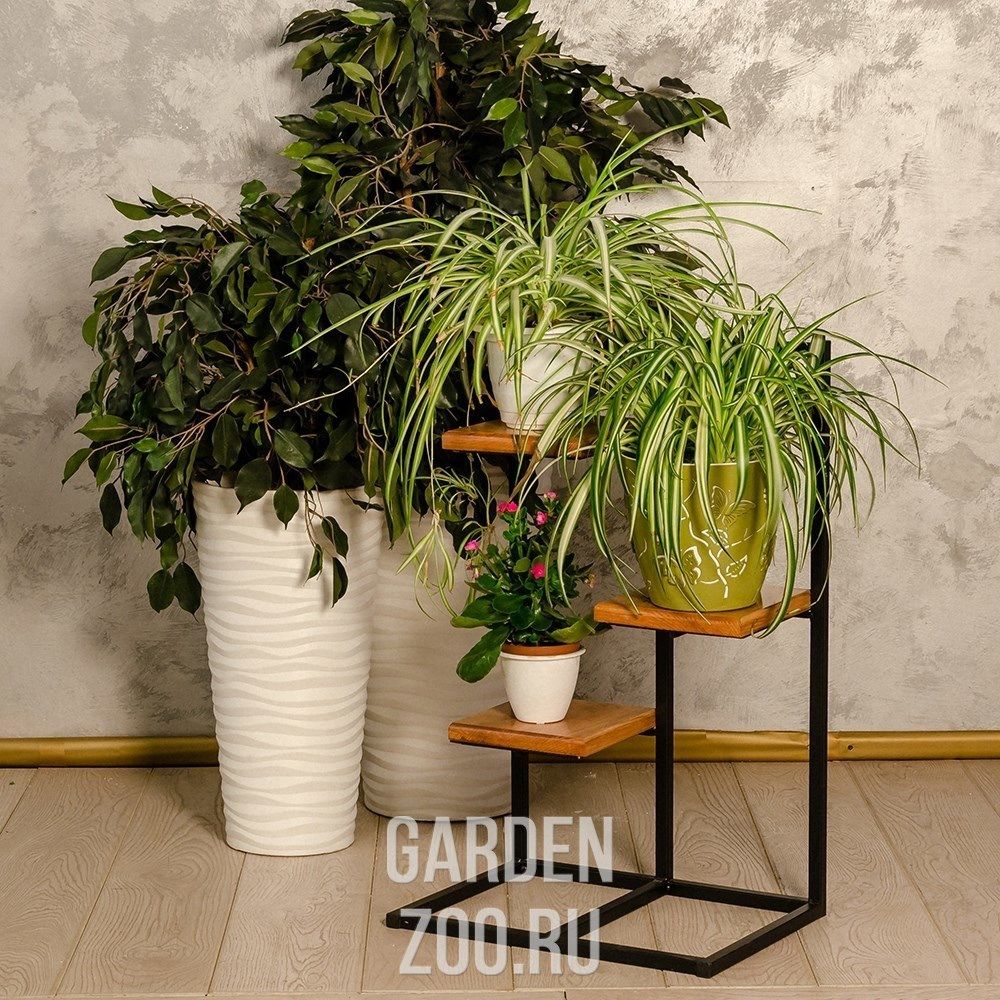 Garden_Zoo's tweet image. Этажерки для цветов в стиле Loft

#мебель #лофт #кованаямебель #мебельлофт #подставкидляцветов #loft #зелёныйдом #gardenzoo
garden-zoo.ru/categories/ste…
