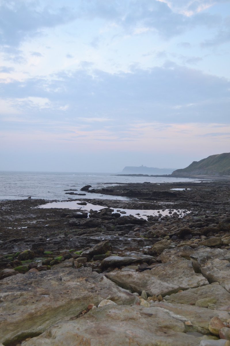 Iona Taylor tweet media