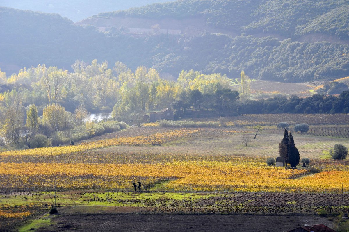 BIENVENUE A L’AUTOMNE ET SES COULEURS 
🍂 Ce mardi 22 septembre, c'est le premier jour de l'automne

😍 Avec lui, son lot de paysages à couper le souffle et dans l’Hérault, on peut passer des heures à contempler ce miracle de la nature