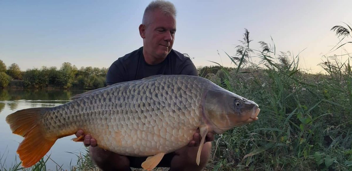 ecbaits's tweet image. Rainbow powerrrrrr