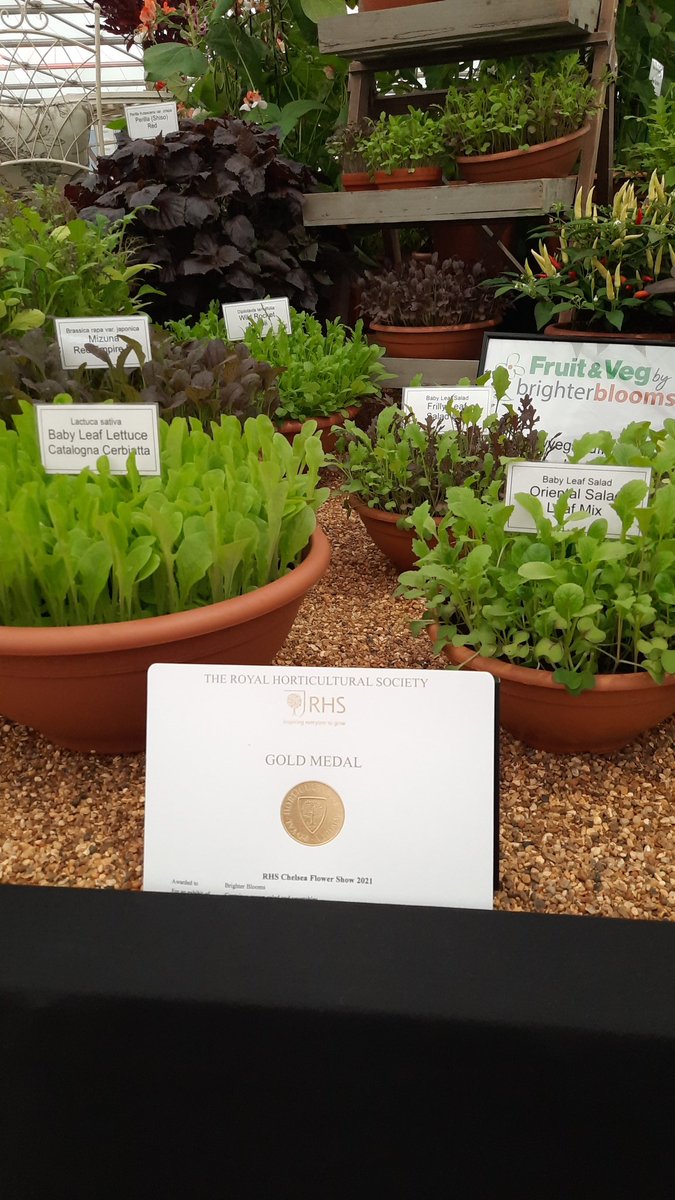 Great start to <a href="/The_RHS/">The RHS</a> Chelsea Flower Show