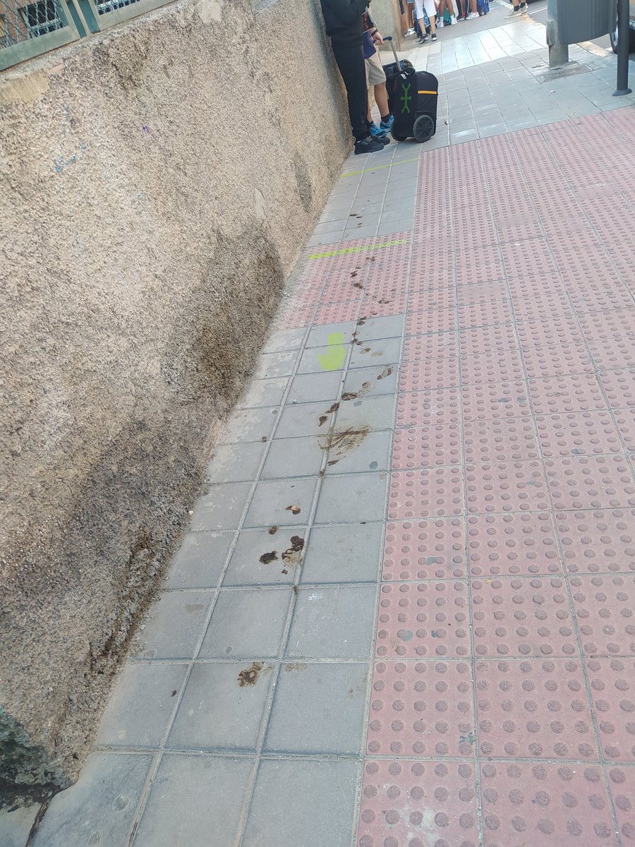 MajoSvoboda's tweet photo. C/Recaredo de los Ríos (la entrada de un colegio. Buenos días a todo el mundo, especialmente al Ayuntamiento de Alicante 👍🏼 Todo perfecto!
#Kkadiario https://t.co/8Xupip88Gs