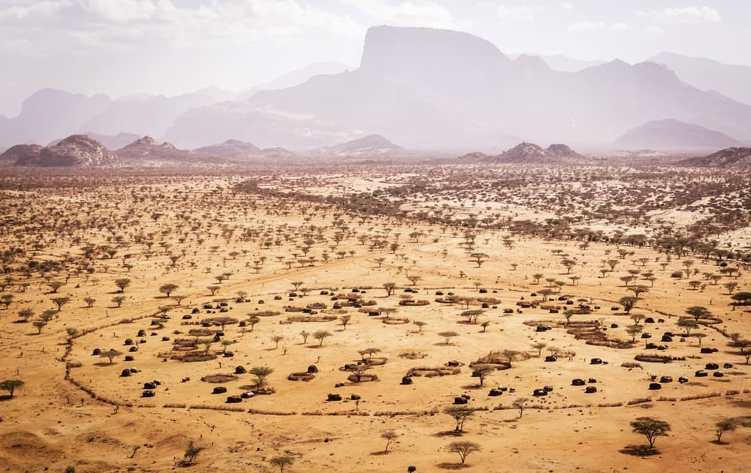 monty selah tweet media