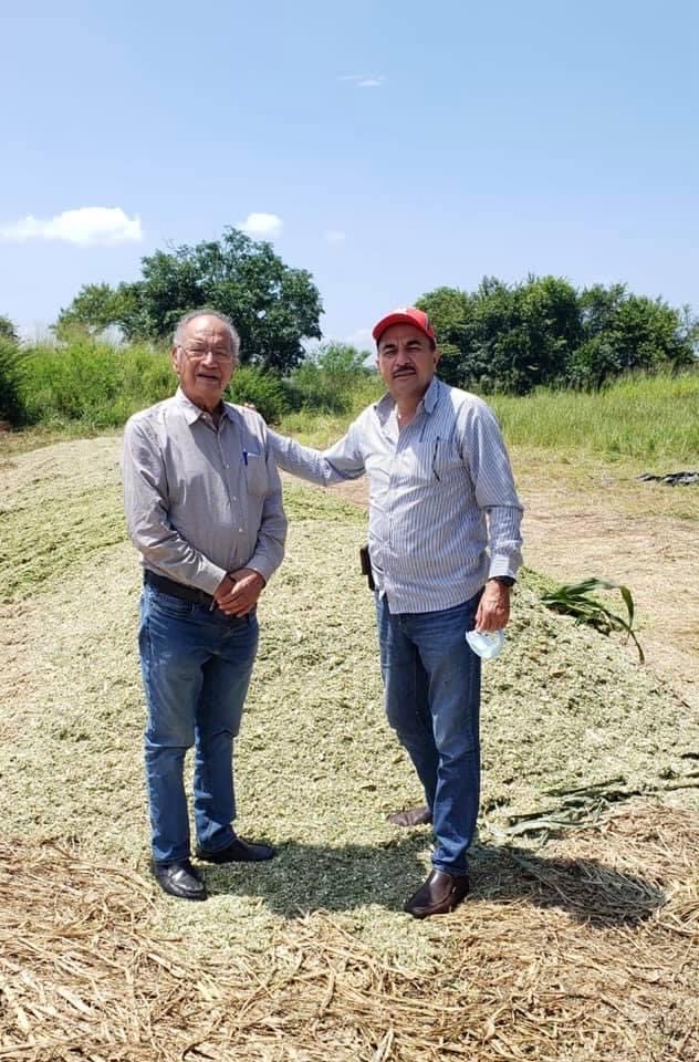 leonelsegundo12's tweet photo. Excelente miércoles amigos. Mi amigo el Ing. Valentín Casas Cortés y yo les mandamos un cordial saludo, deseando tengan una productiva semana, hoy me tocó ver como producen el "silan", en el rancho de mi amigo Ing.Valentín Casas, que resulta ser muy buen nutrimento para el ganado https://t.co/v4EiUeAXvb