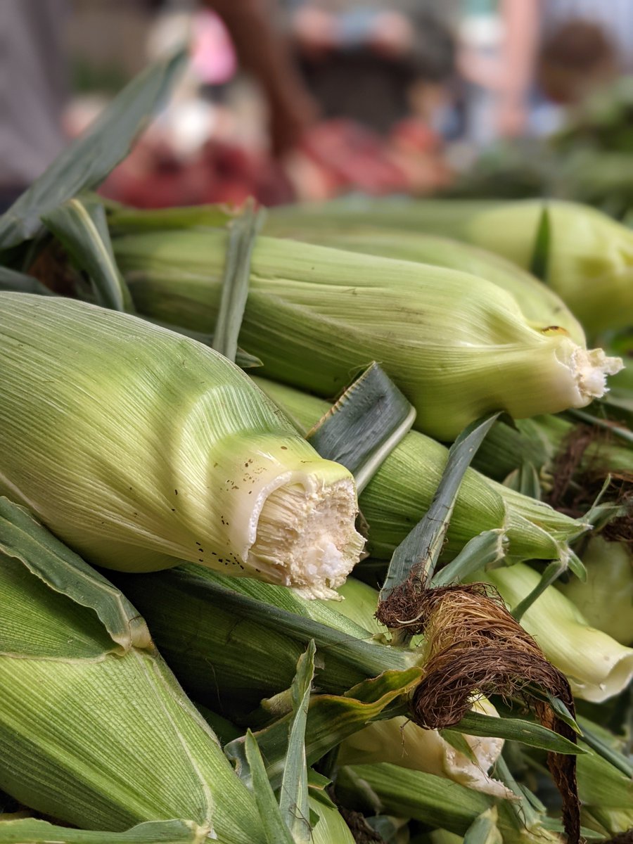 AnnetteV_Market's tweet photo. Only 3 more weeks for our Annette Village Farmers' Market. Our last market day is Wed Oct. 6!
Thank you to all who came out for the Annual Corn Roast. We say goodbye &amp; Thank You to Sun-Ray Orchards for this year. #annettevillagefarmersmarket #ourcommunity #meetmeatthemarket https://t.co/tMFIdp21X5