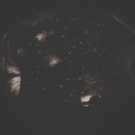 Photo by Elin Spring (@ElinSpring1)