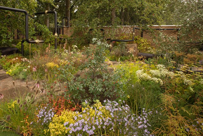 ShootGardening's tweet photo. Some hard-earned awards won at the #RHSChelsea show yesterday!  Congratulations to @charlotteharris and @hugobugg of @HarrisBugg for their Gold-award winning #MandGGarden
🌱🌱🌱
You can find the M&amp;G plant list by following this link - https://t.co/Z3iCv3XjQV https://t.co/O2QcSsFrz3
