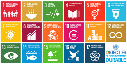 L’Insee a consacré un dossier complet autour des objectifs de développement durable #ODD en 🇫🇷. (Re)découvrez-le à l’occasion de la #SemaineDuDeveloppementDurable #SEDD2021 👉
 insee.fr/fr/statistique…