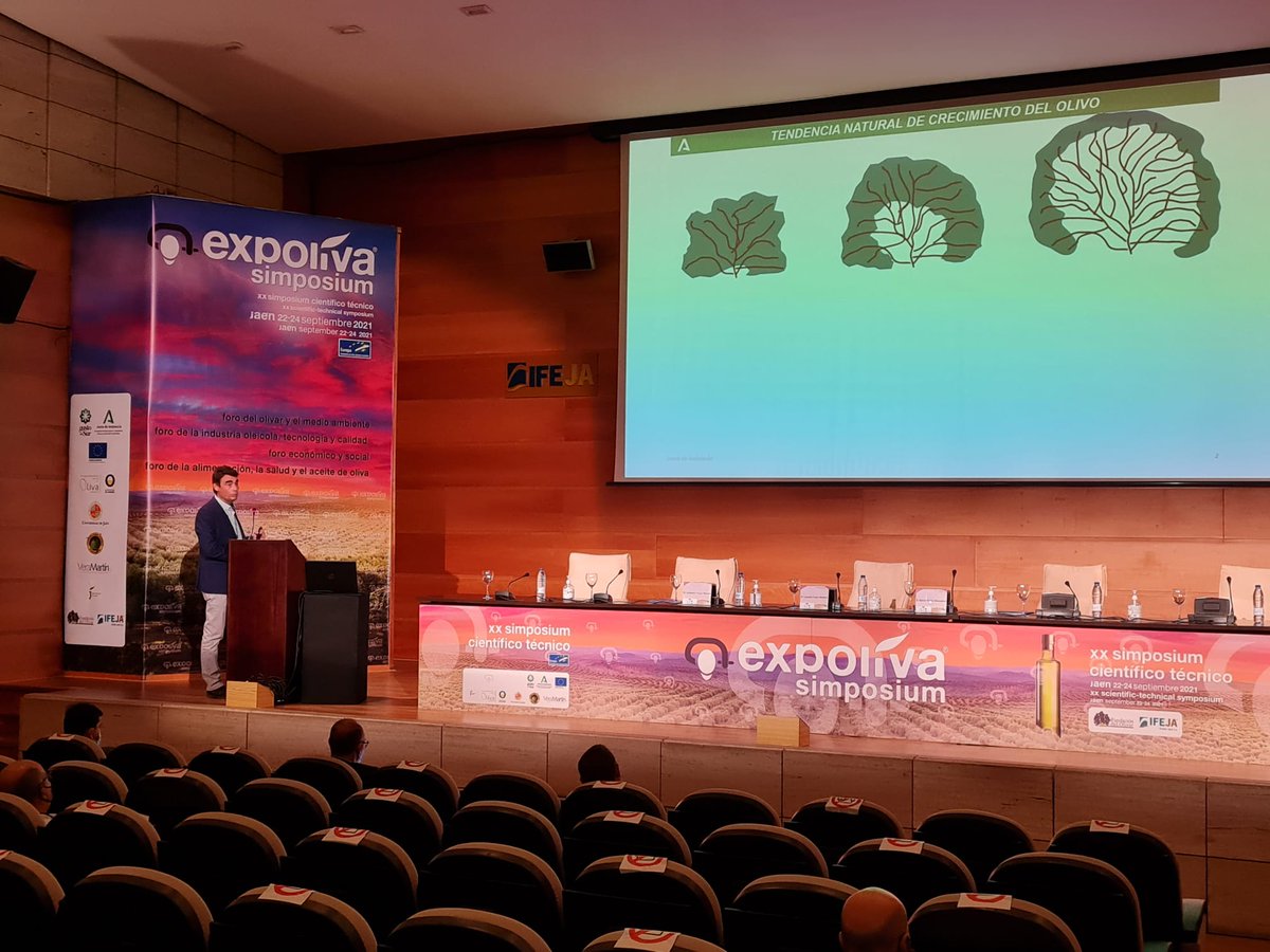 IfapaJunta's tweet photo. Lourdes Fuster, presidenta del #IFAPA, modera la mesa sobre densidades de plantación en olivar y en la que participan nuestros compañeros Victorino Vega y Daniel Pérez  

@Expoliva_2021 #simposium

#IFAPAlideraysuma @AndaluciaJunta @AgriculturAnd @MedioAmbAND https://t.co/F0z7KCay3L
