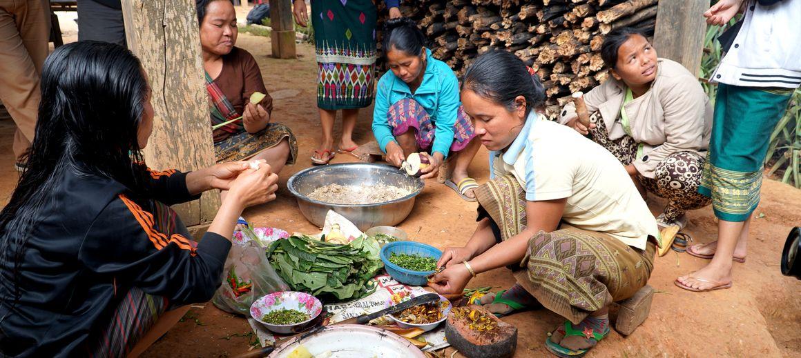 Today’s #foodsystems are not sustainable, but what can be done? #CIRAD has been actively involved in preparing for #UNFSS, &amp; is calling for #territory-based solutions designed by &amp; for local actors. #SDG2
👉bit.ly/39sAePi