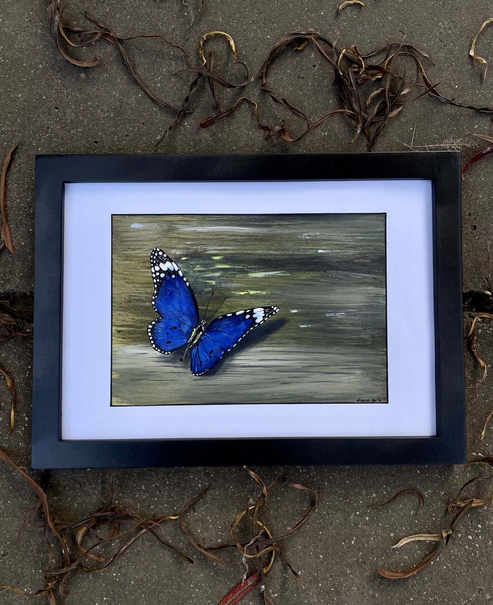 timz_art's tweet photo. 🦋
.
.
.
#abstractpainting #painting #ArtistOnTwitter #homedecor #Homedecoration #illustration #artist #colorful #pichazasimu #TMbilinyi #photography #photooftheday #TwitterGulio #timz_art #tmblaq #timz #picoftheday #3D #artistic #ArtisticofSociety #butterfly #blue #acrylics https://t.co/Ms7ja6FmcS