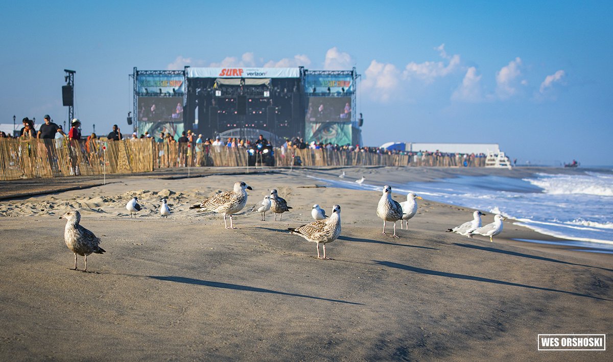 MAGNET Magazine (@magnetmagazine) on Twitter photo Last weekend, <a href="/seahearnow/">Sea.Hear.Now Festival</a> in Asbury Park, N.J., featured <a href="/PearlJam/">Pearl Jam</a>, <a href="/SmashingPumpkin/">The Smashing Pumpkins</a>, <a href="/theavettbros/">The Avett Brothers</a>, <a href="/BillyIdol/">Billy Idol</a>, #PattiSmith, <a href="/LordHuron/">Lord Huron</a>, <a href="/orvillepeck/">Orville Peck</a>, <a href="/anidifranco/">ani difranco</a>, <a href="/TankandDaBangas/">Tank and The Bangas</a> and many more. MAGNET photog <a href="/wesorshoski/">Wes Orshoski</a> still has sand in his shoes: magnetmagazine.com/2021/09/23/gre… Last weekend, <a href="/seahearnow/">Sea.Hear.Now Festival</a> in Asbury Park, N.J., featured <a href="/PearlJam/">Pearl Jam</a>, <a href="/SmashingPumpkin/">The Smashing Pumpkins</a>, <a href="/theavettbros/">The Avett Brothers</a>, <a href="/BillyIdol/">Billy Idol</a>, #PattiSmith, <a href="/LordHuron/">Lord Huron</a>, <a href="/orvillepeck/">Orville Peck</a>, <a href="/anidifranco/">ani difranco</a>, <a href="/TankandDaBangas/">Tank and The Bangas</a> and many more. MAGNET photog <a href="/wesorshoski/">Wes Orshoski</a> still has sand in his shoes: magnetmagazine.com/2021/09/23/gre…