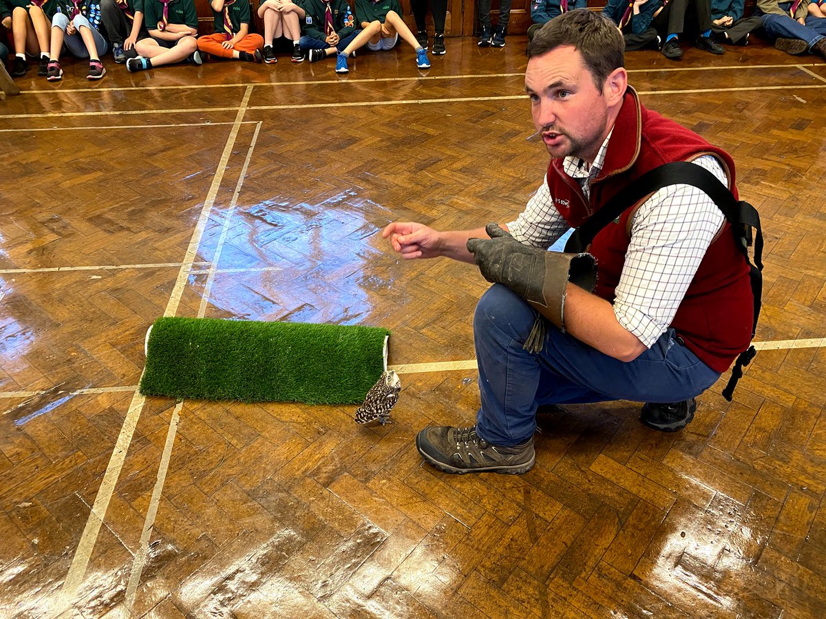 1stbeckenham's tweet photo. This week, Beavers, Cubs and Scouts were visited by the fantastic @joesbows, who brought along 6 different birds of prey. Everyone had an amazing time - lying on the floor with an owl flying just above being a highlight! https://t.co/MrK2Ls3s8a