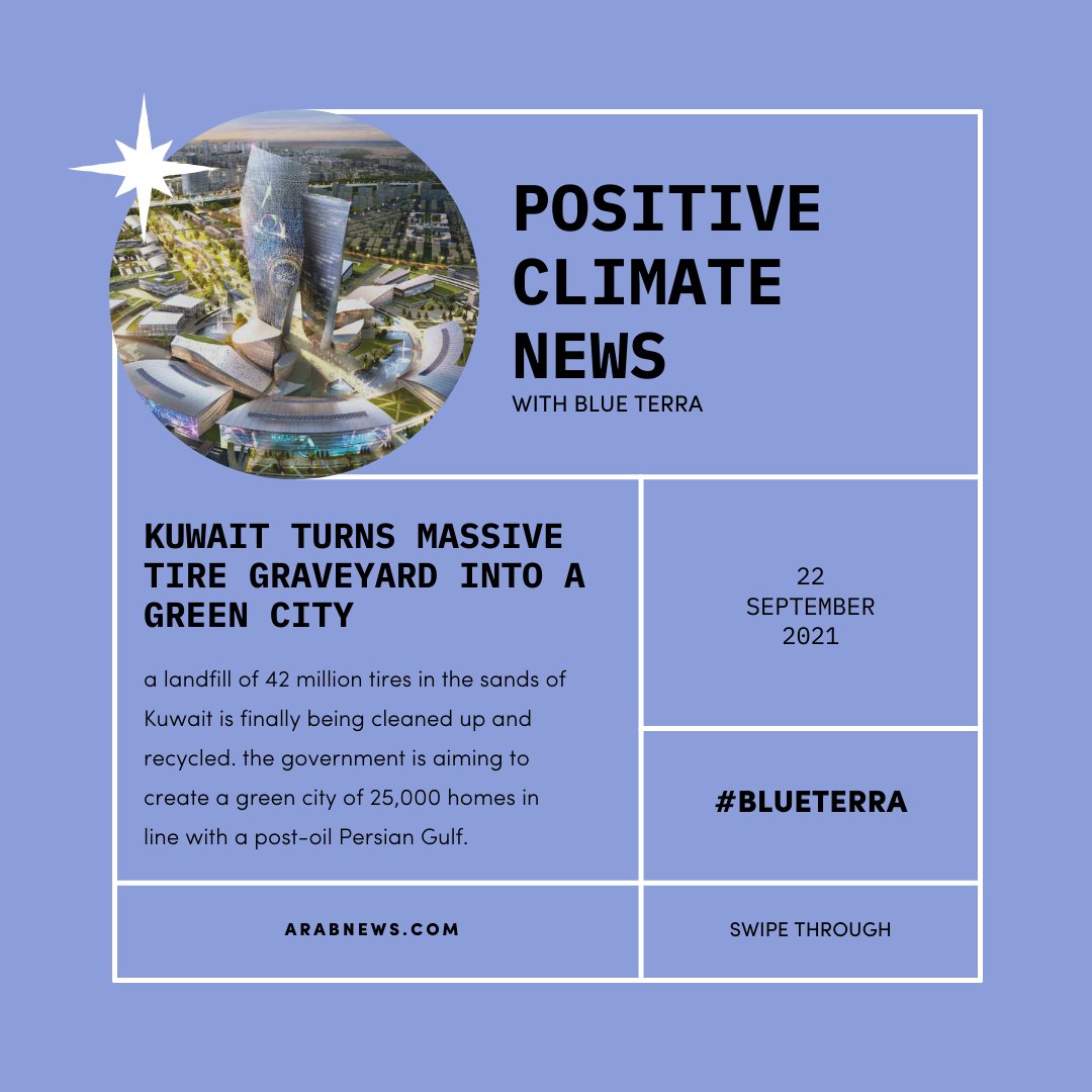 Blue Terra tweet media
