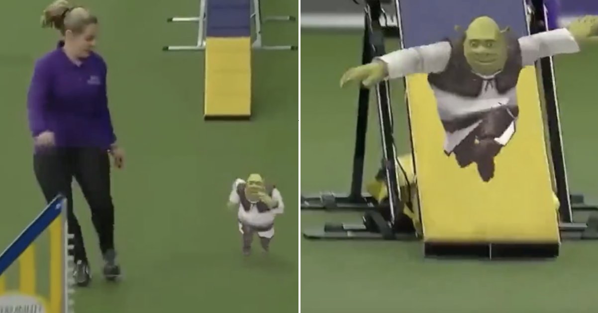 Tiny Shrek