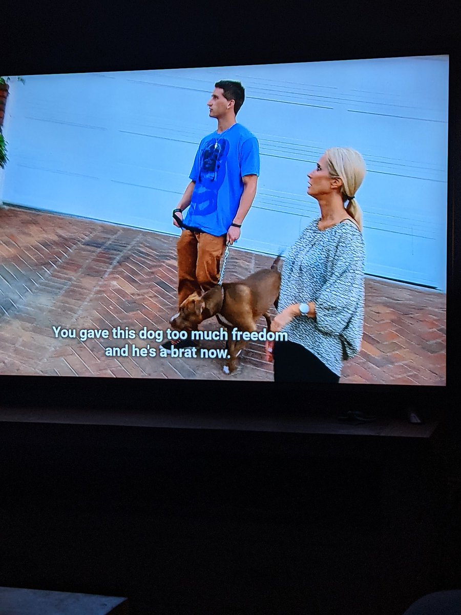 InRhobh's tweet photo. #rhobh season 4 episode 2

Kim Richards had absolutely no business getting a Pitbull. My goodness https://t.co/olTGVB5ZMf