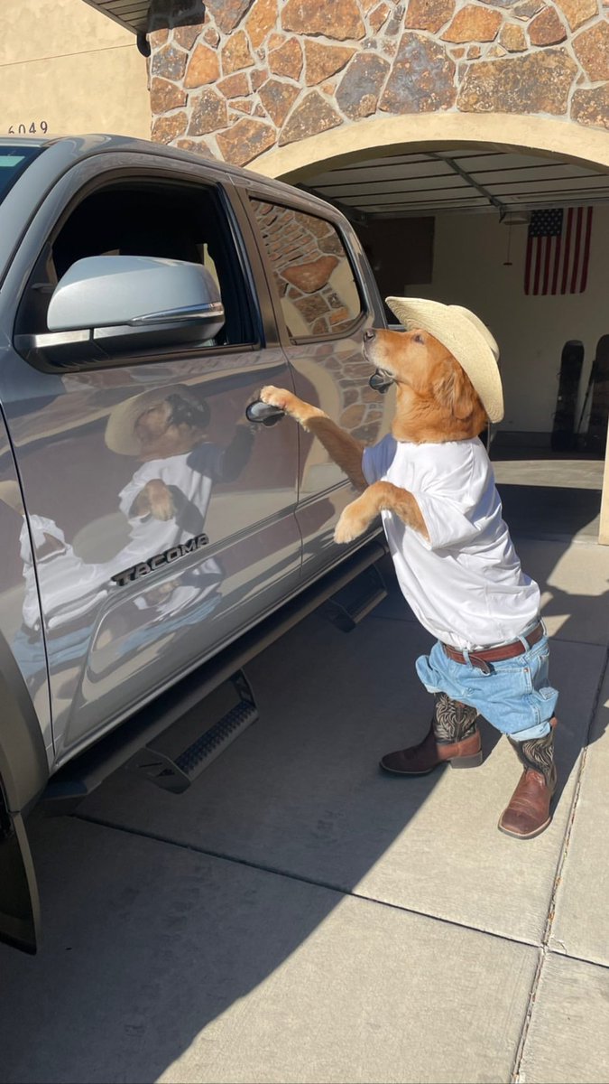OldRowPups's tweet photo. This pup loves his country, his family, and his truck. https://t.co/6BBujlzhf0