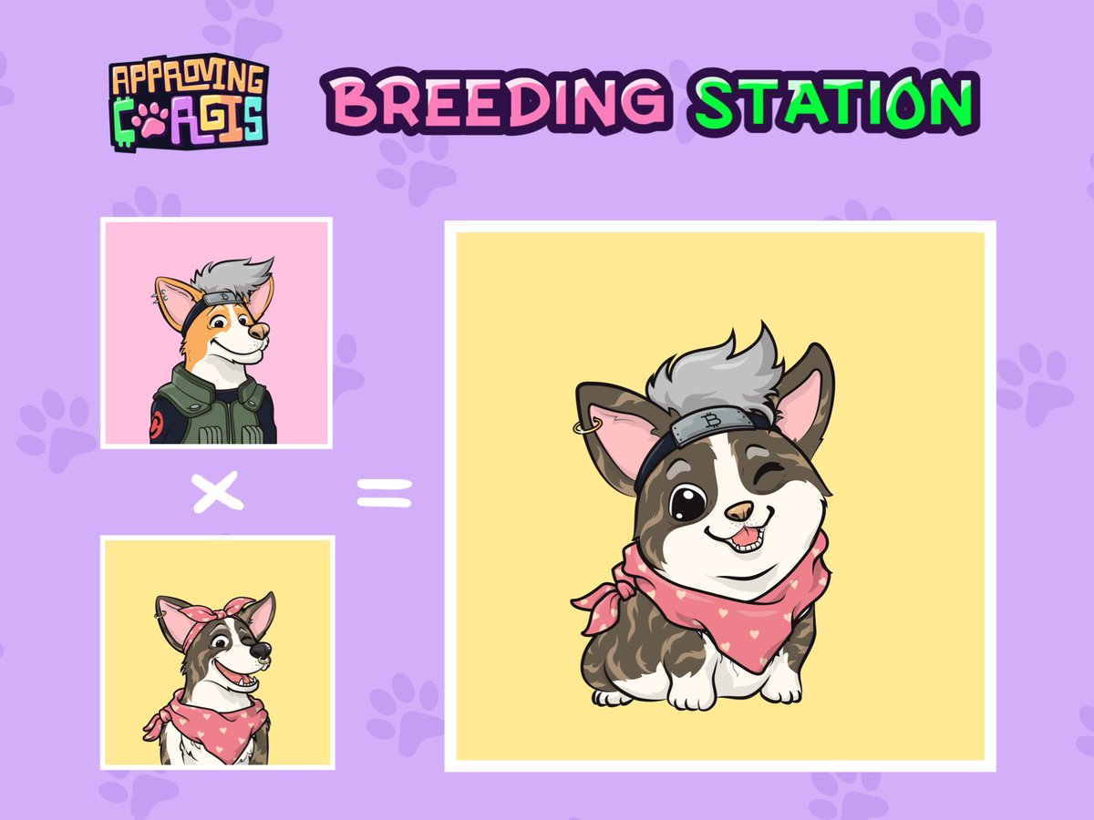 approvingcorgis's tweet photo. Having 1 Corgi is good, but having 2 is even better because you can breed your very own FREE puppy! 

Adopt your pup’s future pawrents now! 🐶✨

https://t.co/g0mjTkK1Dh

#approvingcorgis #nftcollector #nft #NFTGames #NFTdrop #NFTCommunity https://t.co/JSz9APRa7C