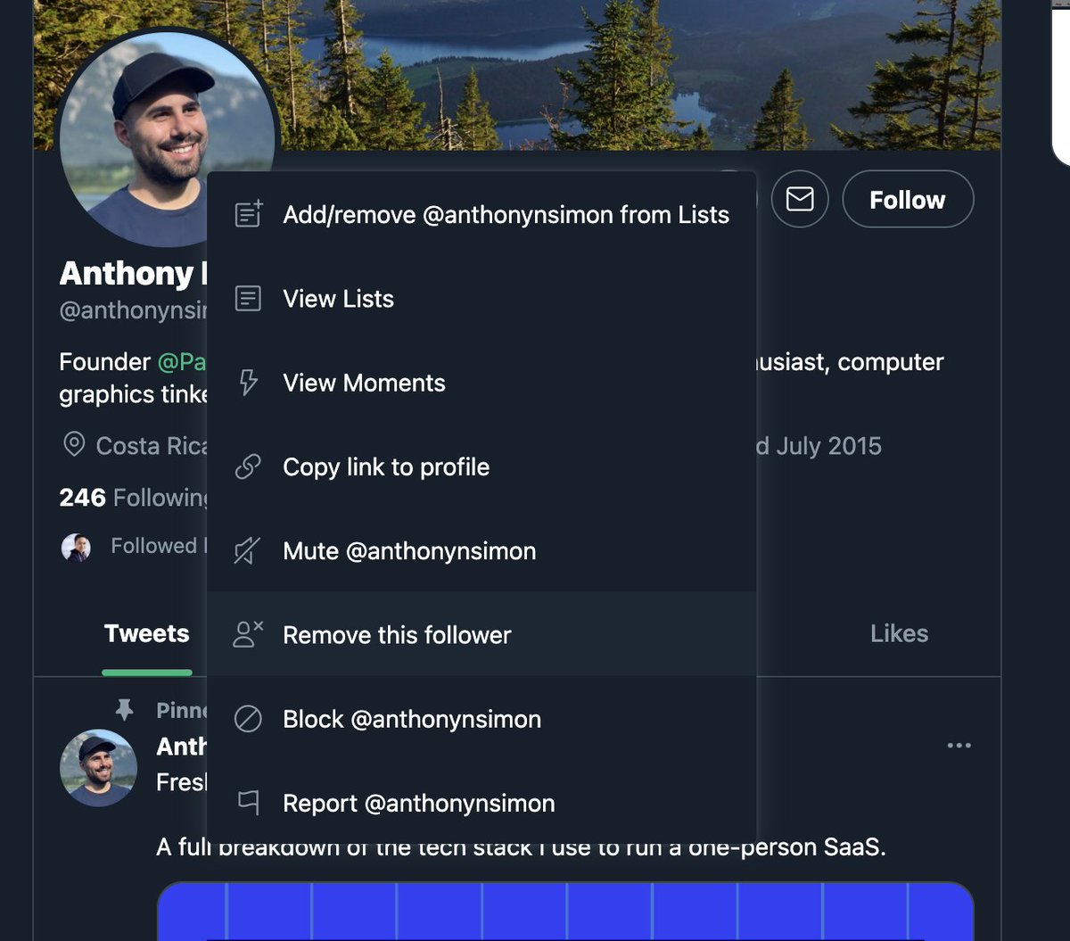 levelsio on Twitter: "New Twitter feature: remove this follower "