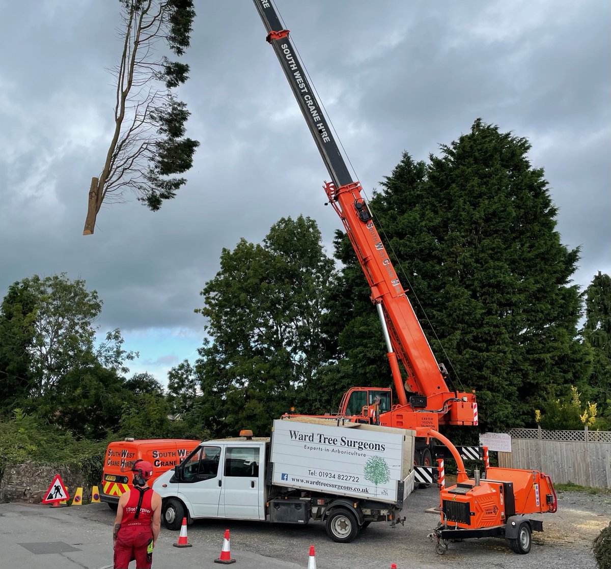 WardTreeSurgeon's tweet image. Really fascinating Leylandii dismantle with the help of South West Crane Hire in Nailsea.
