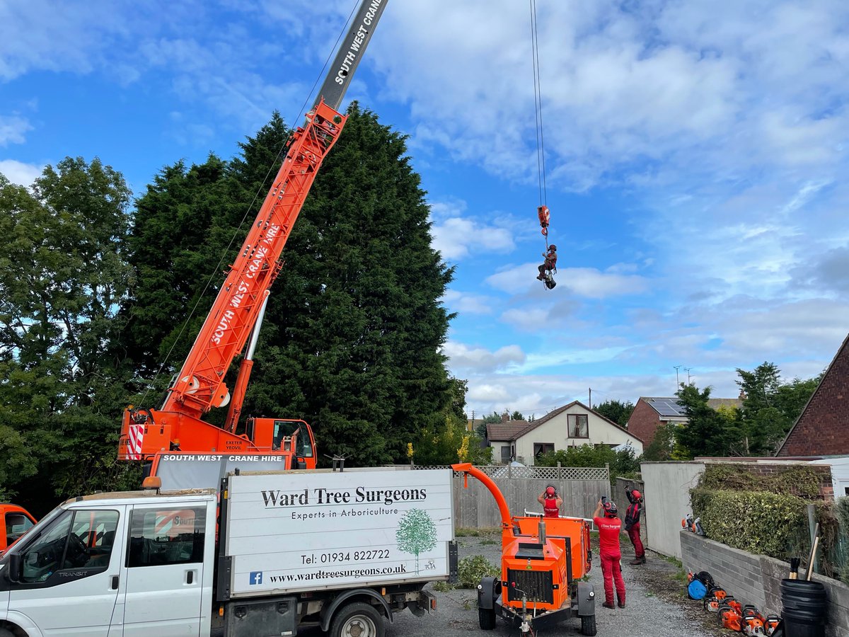 WardTreeSurgeon's tweet image. Really fascinating Leylandii dismantle with the help of South West Crane Hire in Nailsea.