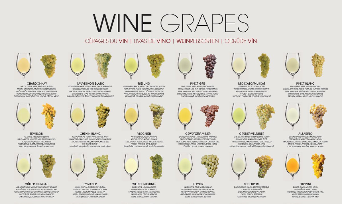 CEE PORTAL tweet media