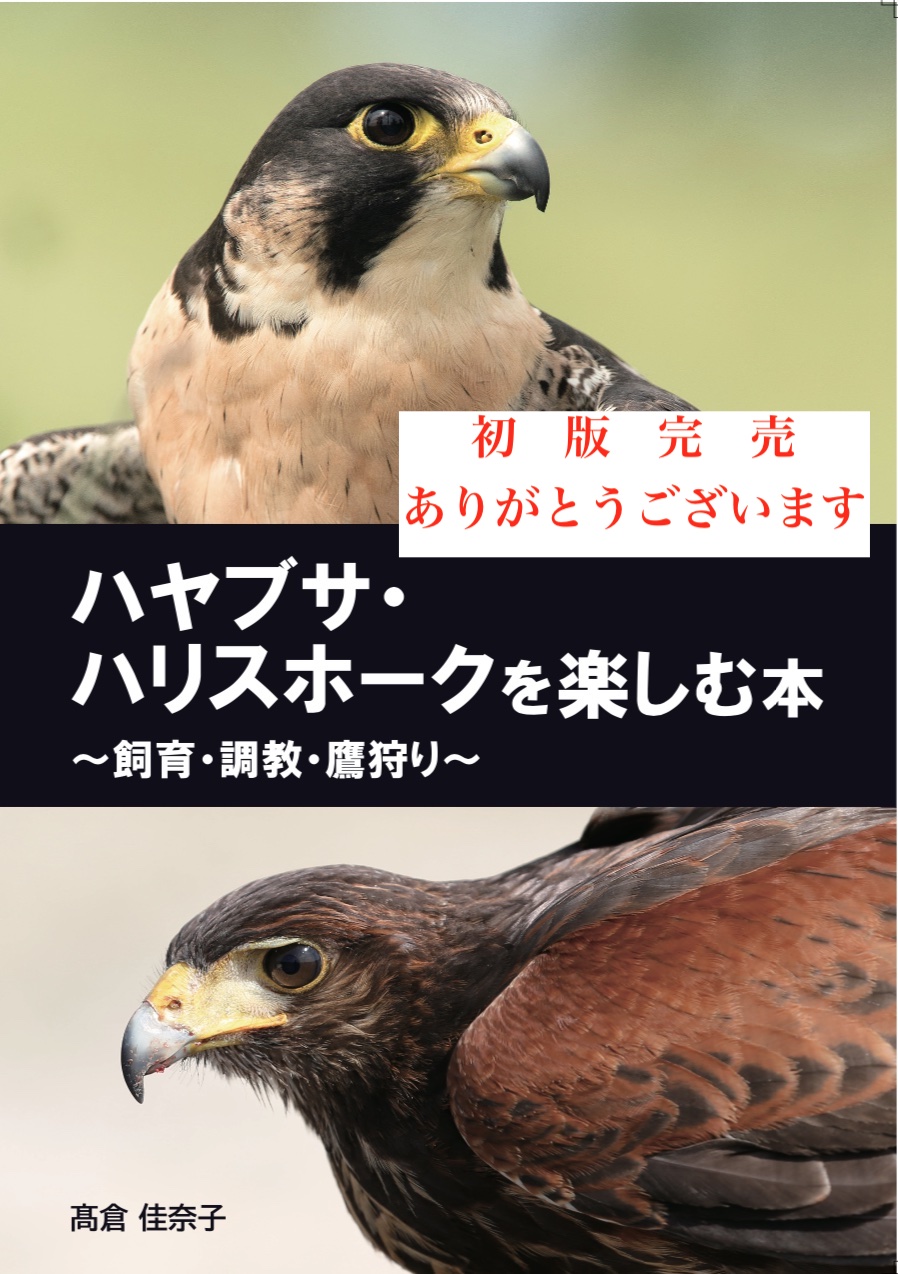 ハヤブサ ハリスホークを楽しむ本 飼育 調教 鷹狩り Moukinbon Twitter