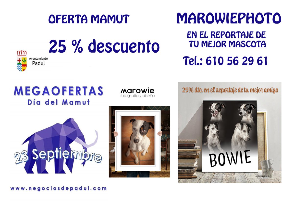 PadulViva's tweet photo. Ya Están Aquí La #OFERTAS #GIGANTES del Día del Mamut en #Padul Desde mañana tiramos la casa por la ventana, ven a disfrutar de nuestras #Fiestas y al mismo tiempo realizar tus #Compras #Descuentos #Rebajas #Ofertas #CompraenPadul #NegociosdePadul #ValledeLecrín #Granada https://t.co/0RDPp9TgsA