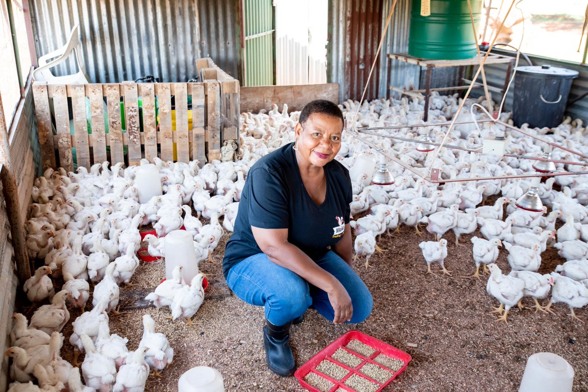 Applications for the SAB Foundation Tholoana Enterprise Programme close on 04 October 2021. The programme has helped entrepreneurs increased their collective turnover by 85%.

Read more about it here: bit.ly/3CQDwZZ 

#SABFoundation #ItStartsHere #MakingADifference