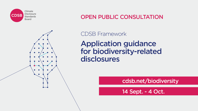 WMBtweets's tweet photo. Have your say! @CDSBGlobal is looking for feedback on the draft Biodiversity Guidance that supports organisations in preparing high-quality disclosures of material #biodiversity-related financial information in annual reports. https://t.co/tiP0UaZ7TS https://t.co/tA9pP7YzRS