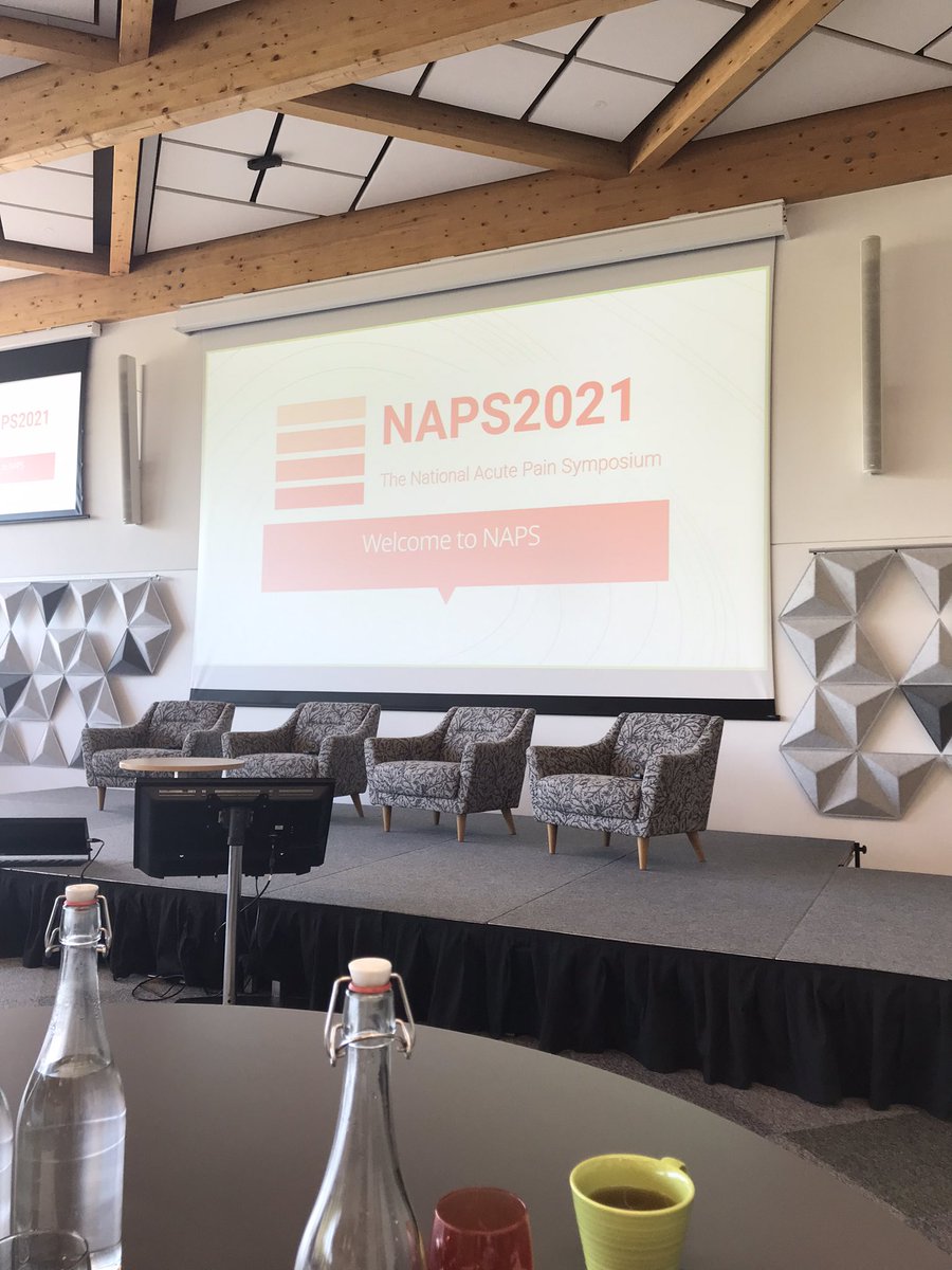 karenGSG's tweet photo. Nice to be back at the NAPS Annual Pain Conference #NAPS2021Good to be back #PainConference #NHS @TRFTHANTEAM @warwickuni https://t.co/ykDOCGF6YY