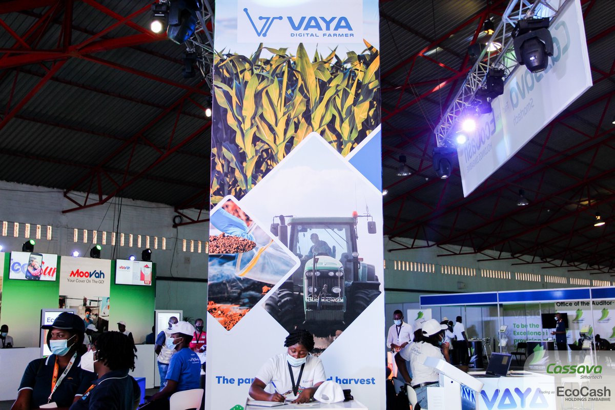 EcoCashHoldings's tweet photo. About ZITF day 1
#LifeIsDigital https://t.co/RvnGpCCRrg