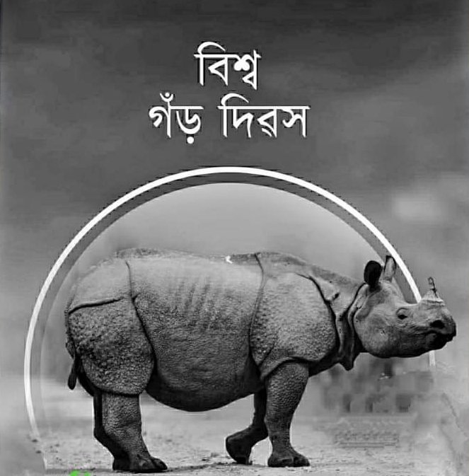 Tourism Assam tweet media